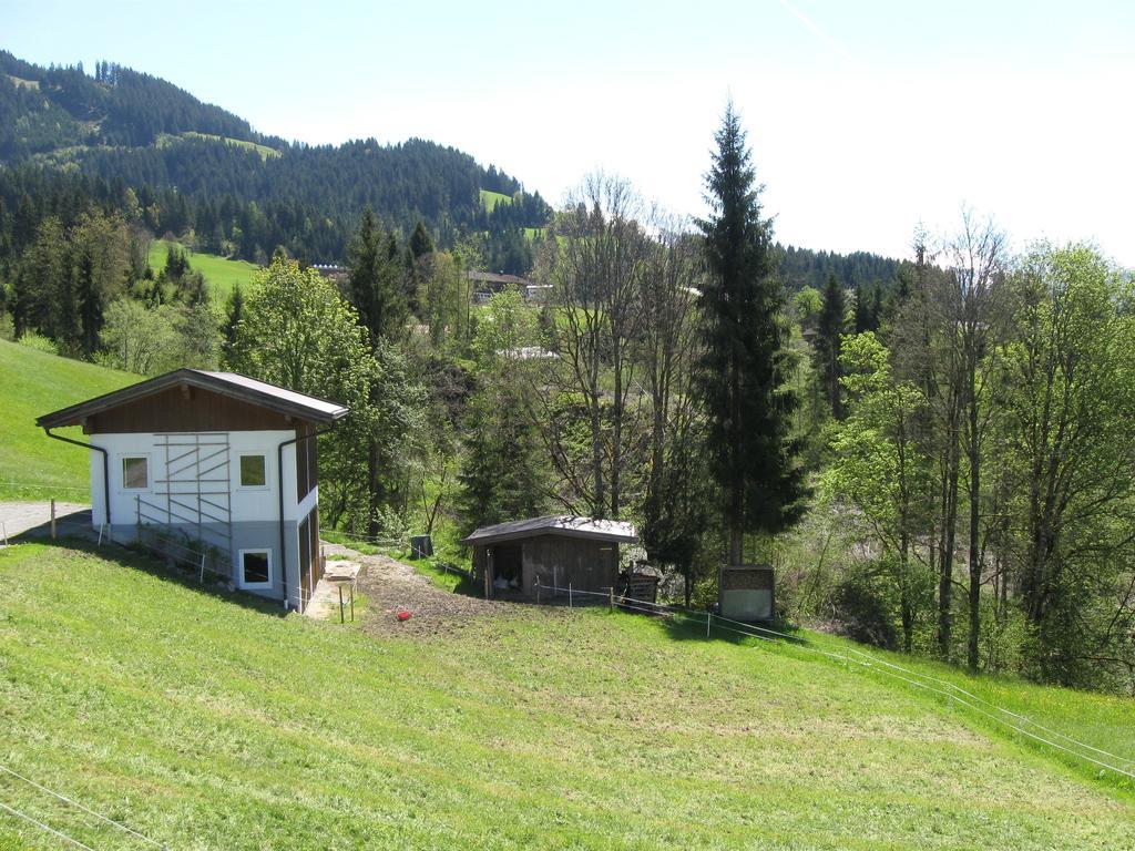 Hotel Haus Steinlechner Westendorf Zimmer foto